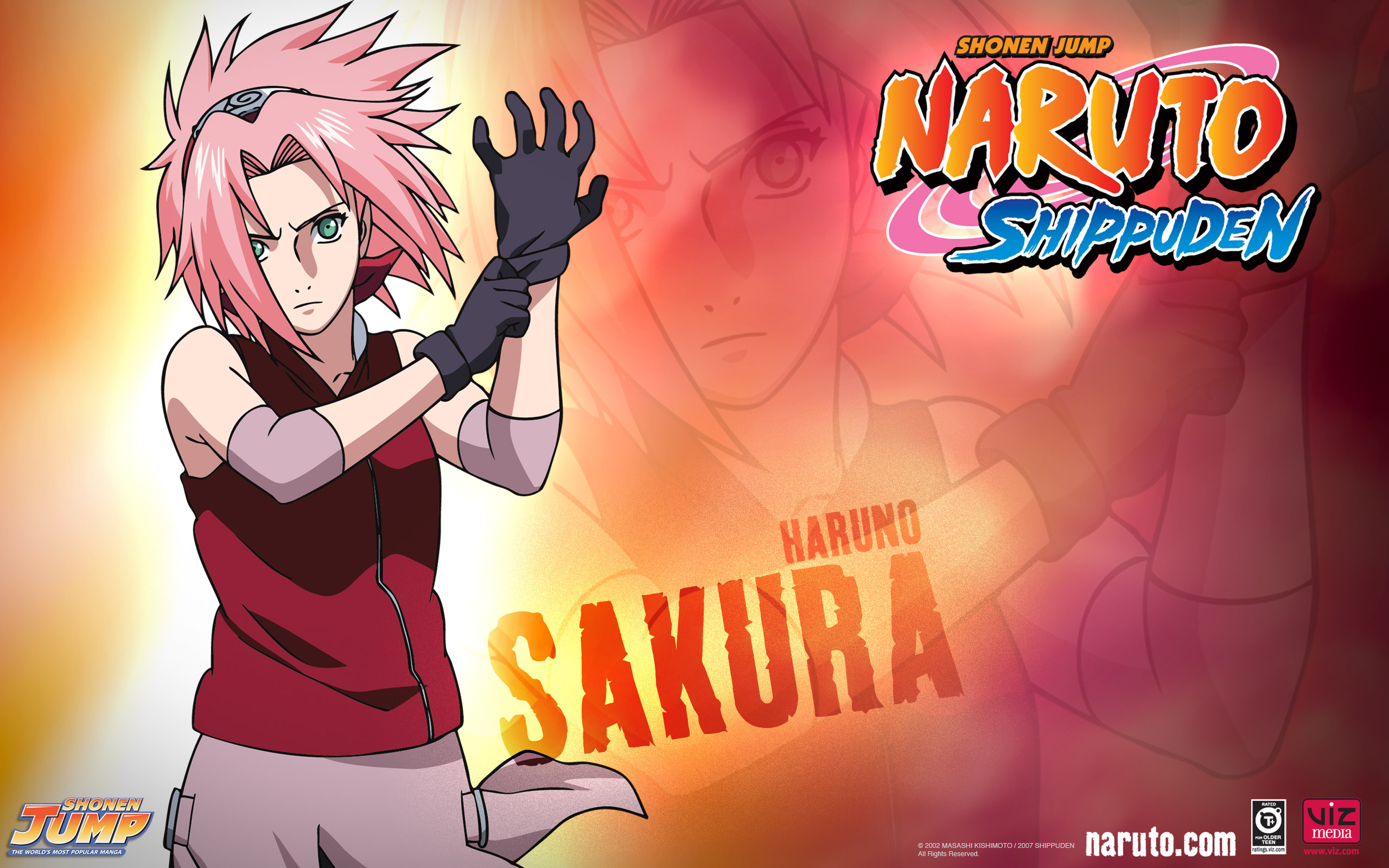 Sakura in Naruto Shippuden desktop wallpaper